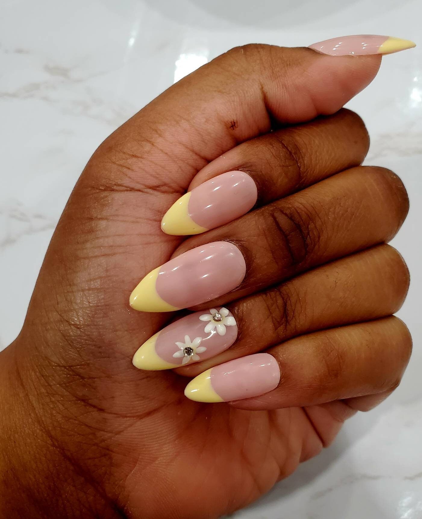 Daisy Delight